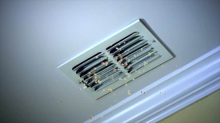  Palmyra, MO Airduct Cleaning Pros