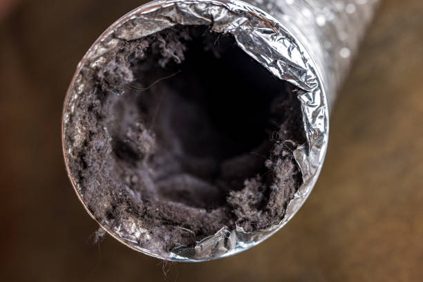 Best Affordable Duct Cleaning Services  in Palmyra, MO