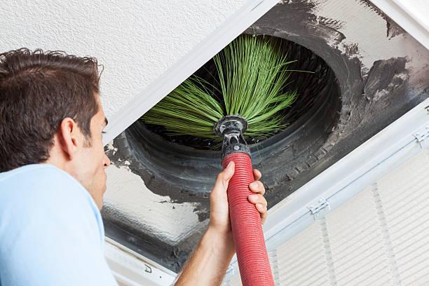 Best Ductwork Cleaning Services  in Palmyra, MO