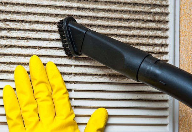 Best Air Vent Cleaning Services  in Palmyra, MO